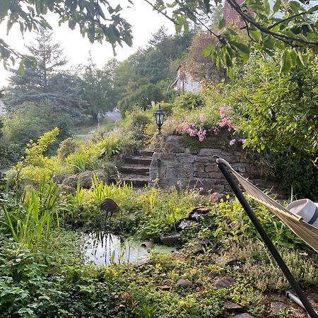 Ferienwohnung Kellerwald Waldeck  Exteriör bild