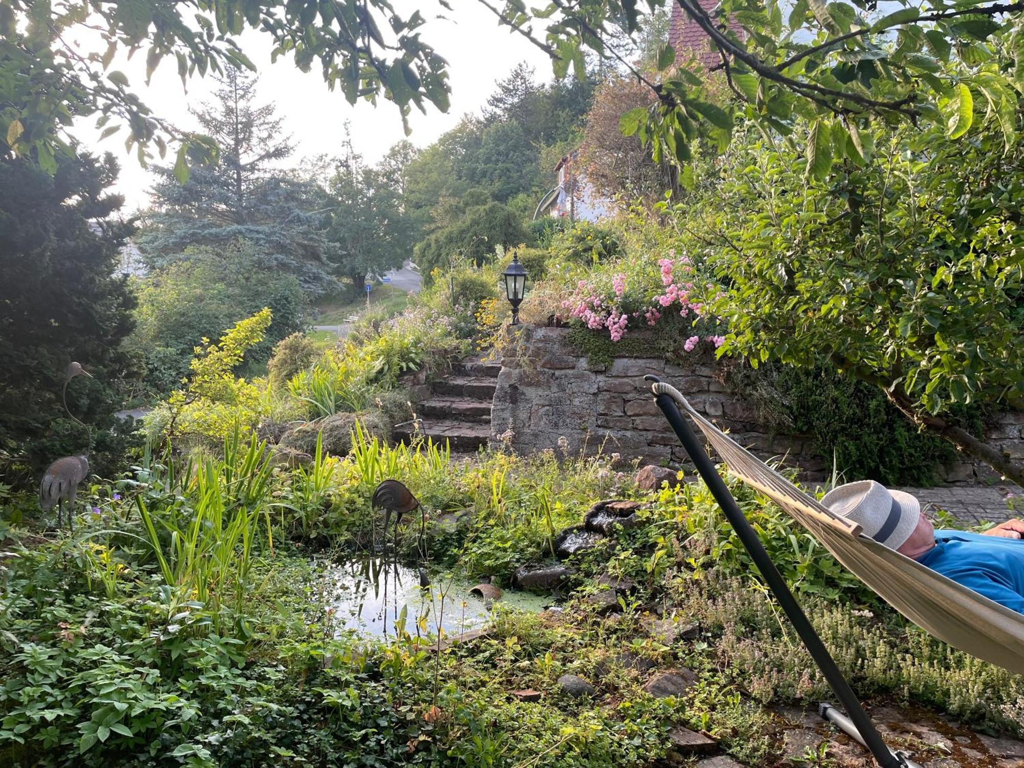 Ferienwohnung Kellerwald Waldeck  Exteriör bild